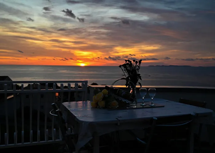 Maric 프리모스턴